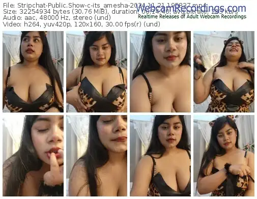 2024/11/21/stripchat-its_amesha-19-58-37