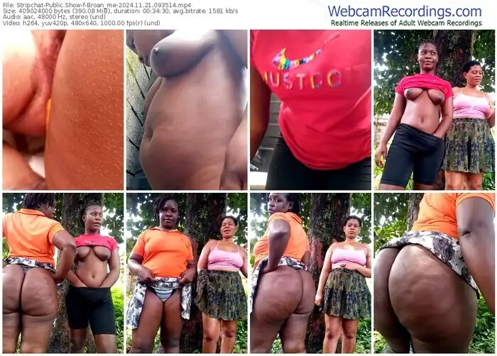 2024/11/21/stripchat-broan_me-09-35-14