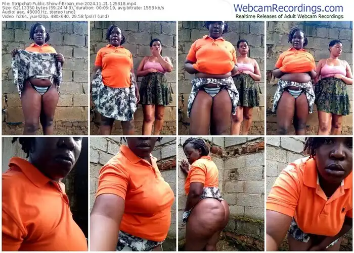 2024/11/21/stripchat-broan_me-12-56-18