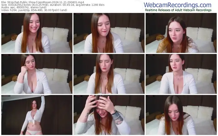 2024/11/21/stripchat-jessrosen-09-04-01