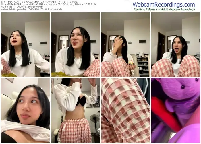 2024/11/21/stripchat-minhee18-14-10-12