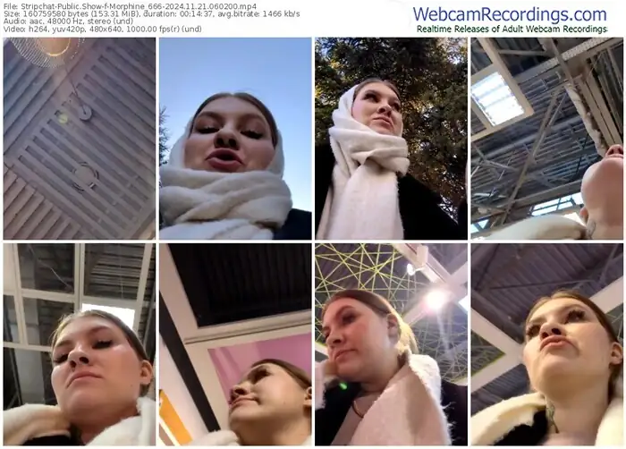 2024/11/21/stripchat-morphine_666-06-02-00