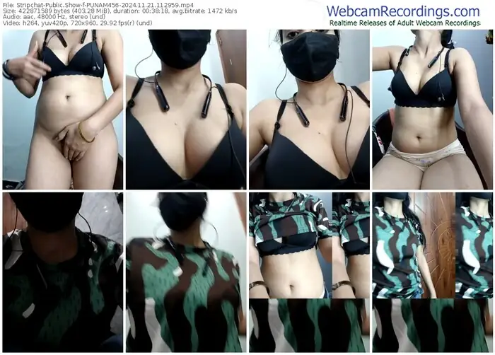 2024/11/21/stripchat-punam456-11-29-59