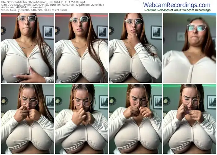 2024/11/21/stripchat-seized_lust-15-58-38