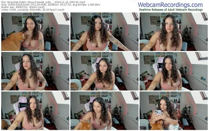 2024/11/21/stripchat-sweet_sully__-09-57-41
