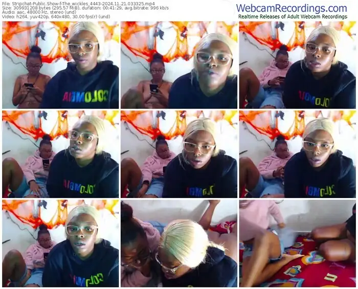 2024/11/21/stripchat-the_wickles_4443-03-33-25