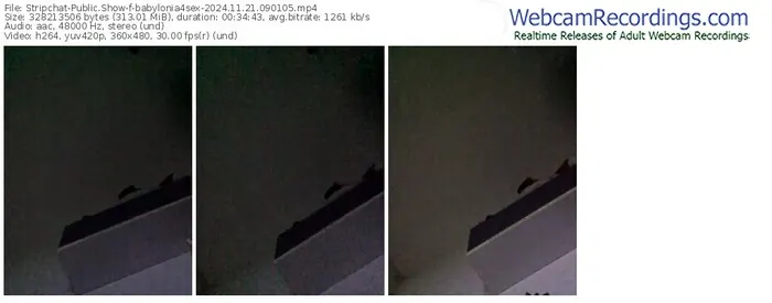 2024/11/21/stripchat-babylonia4sex-09-01-05