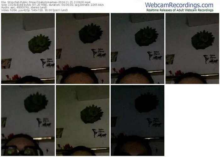 2024/11/21/stripchat-babylonia4sex-11-06-26