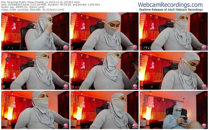 2024/11/21/stripchat-haddy_ss-22-53-15