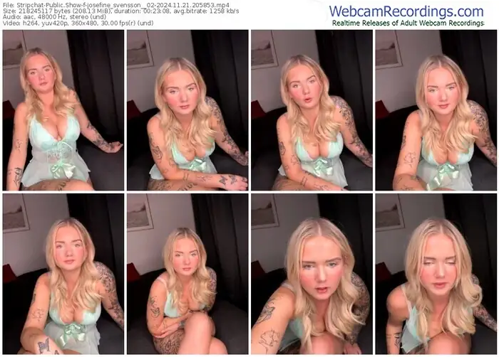 2024/11/21/stripchat-josefine_svensson__02-20-58-53