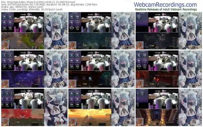 2024/11/21/stripchat-z23002-08-57-54