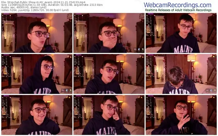 2024/11/21/stripchat-mr_evan1-15-41-33