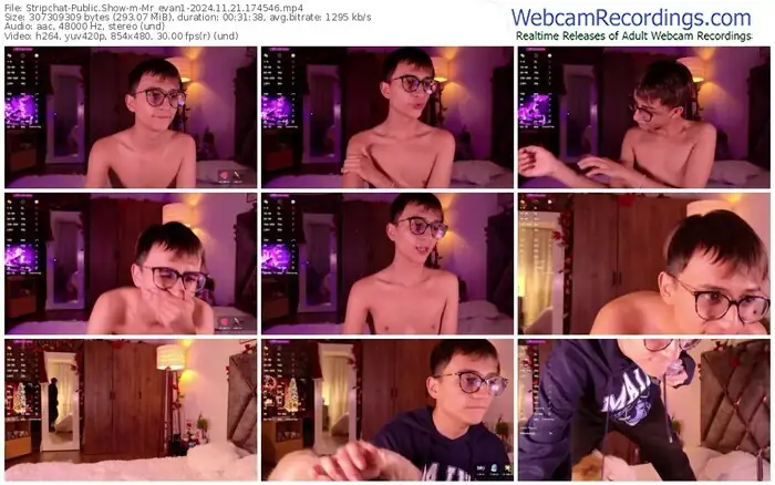 2024/11/21/stripchat-mr_evan1-17-45-46