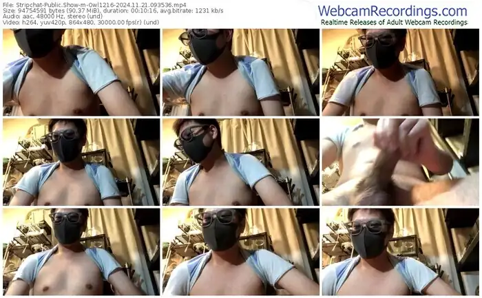 2024/11/21/stripchat-owl1216-09-35-36