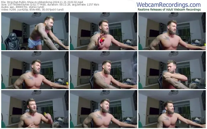 2024/11/21/stripchat-ubbeviking-01-01-32