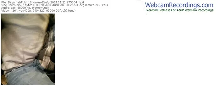 2024/11/21/stripchat-zeefy-17-56-04