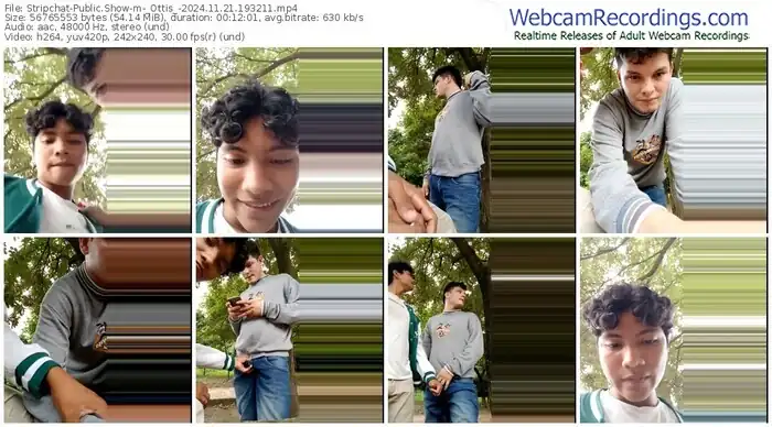 2024/11/21/stripchat-_ottis_-19-32-11