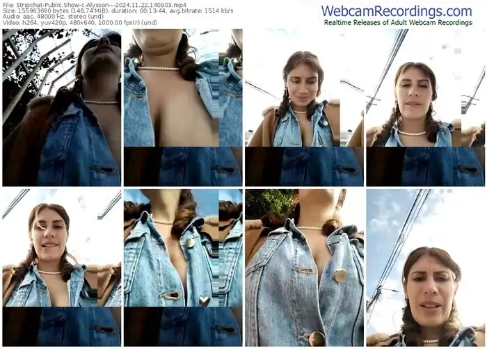 2024/11/22/stripchat-alysson---14-09-03