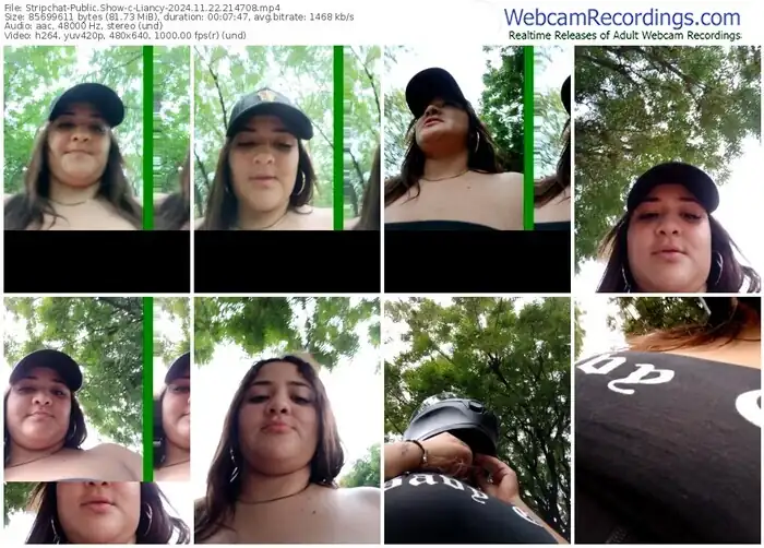 2024/11/22/stripchat-liancy-21-47-08