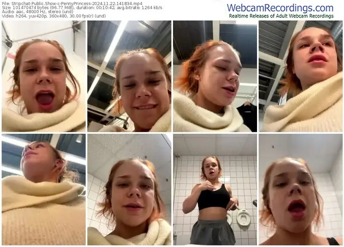 2024/11/22/stripchat-pennyprincess-14-18-34