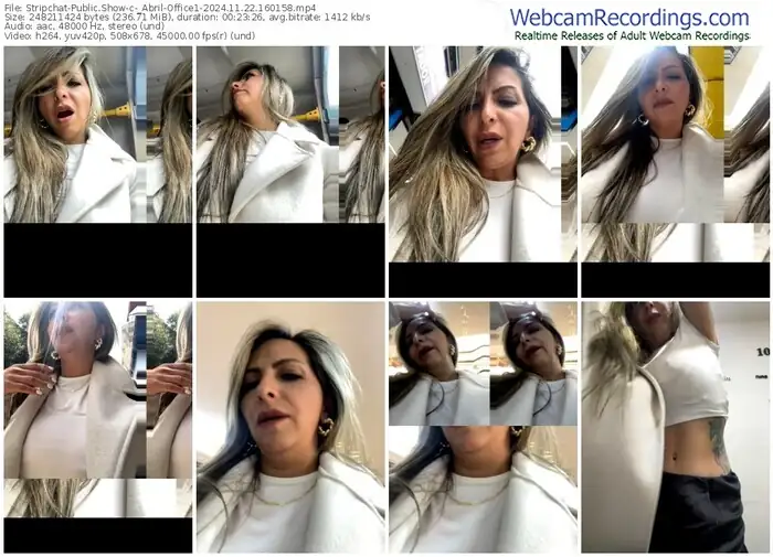 2024/11/22/stripchat-_abril-office1-16-01-58