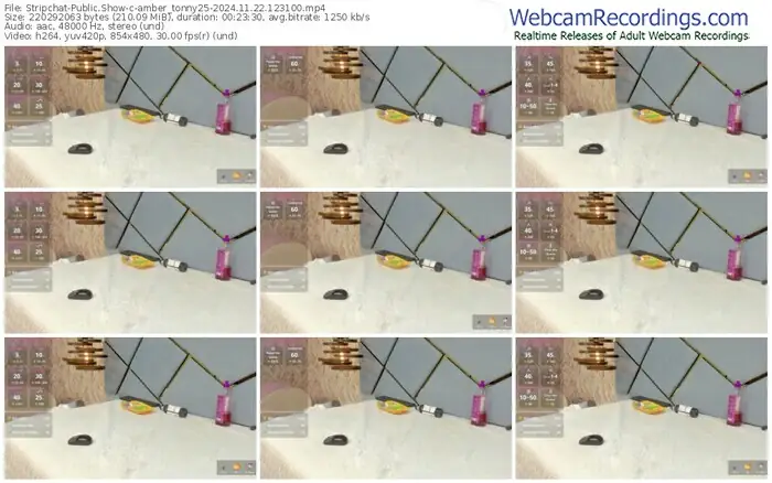 2024/11/22/stripchat-amber_tonny25-12-31-00