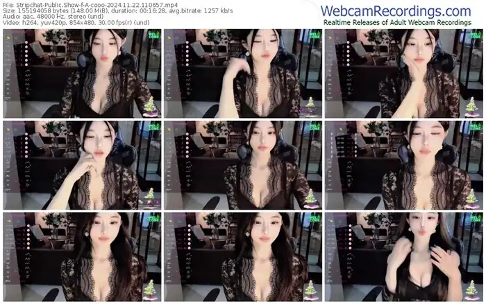 2024/11/22/stripchat-a-cooo-11-06-57