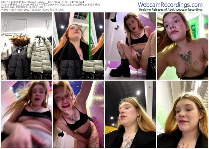 2024/11/22/stripchat-honey___hot-17-42-50