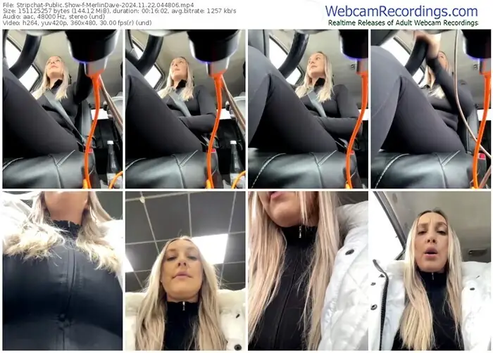 2024/11/22/stripchat-merlindave-04-48-06