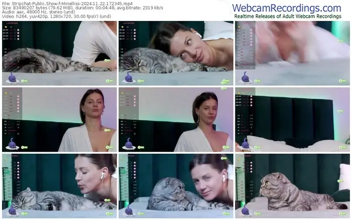 2024/11/22/stripchat-minelliss-17-23-45