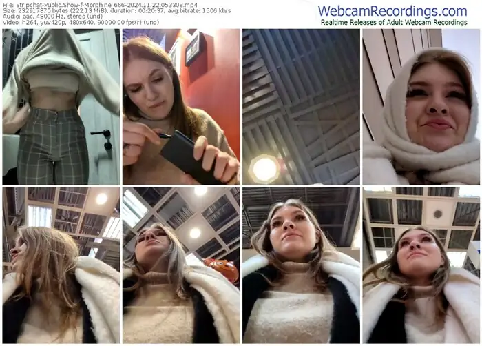 2024/11/22/stripchat-morphine_666-05-33-08