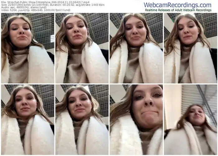 2024/11/22/stripchat-morphine_666-06-42-17