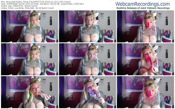 2024/11/22/stripchat-sloppytitss-11-45-12