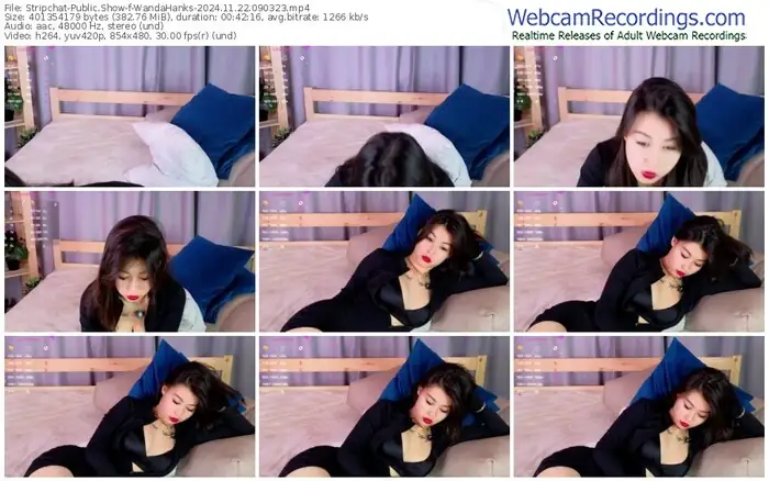 2024/11/22/stripchat-wandahanks-09-03-23