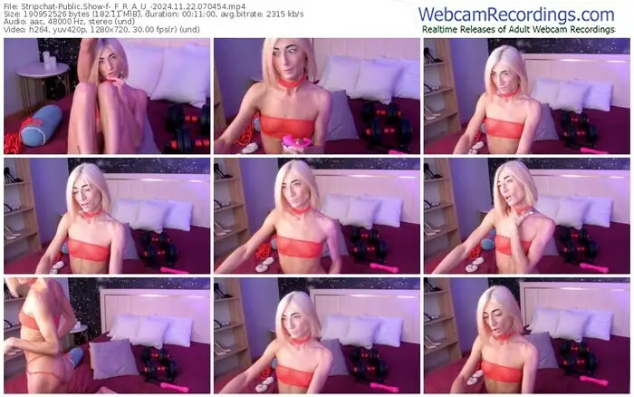 2024/11/22/stripchat-_f_r_a_u_-07-04-54