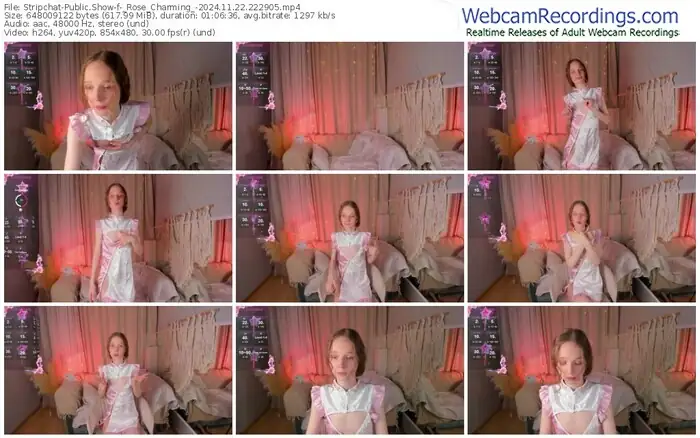 2024/11/22/stripchat-_rose_charming_-22-29-05
