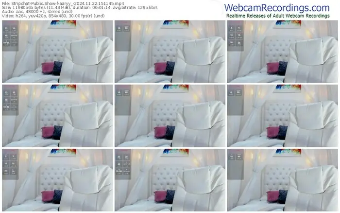 2024/11/22/stripchat-aaryy_-15-11-45