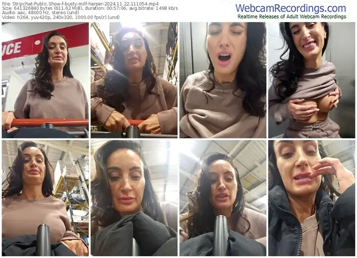 2024/11/22/stripchat-busty-milf-harper-11-10-54