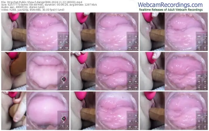 2024/11/22/stripchat-danigirl866-18-00-31