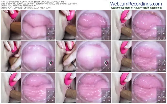 2024/11/22/stripchat-danigirl866-18-43-36
