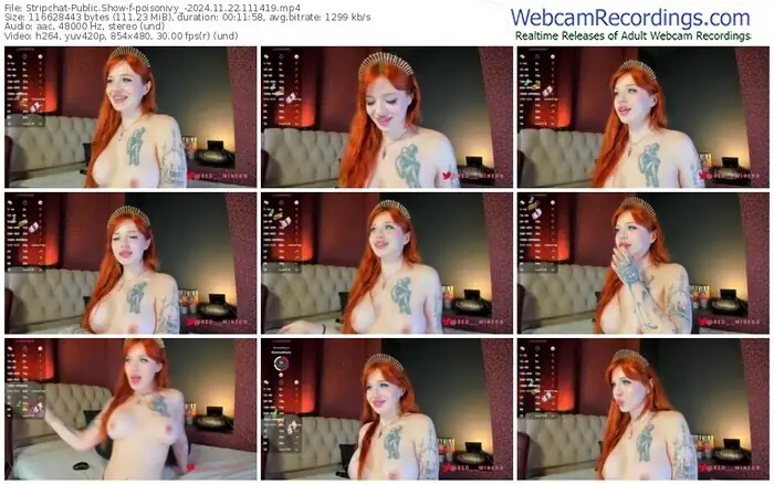 2024/11/22/stripchat-poisonivy_-11-14-19
