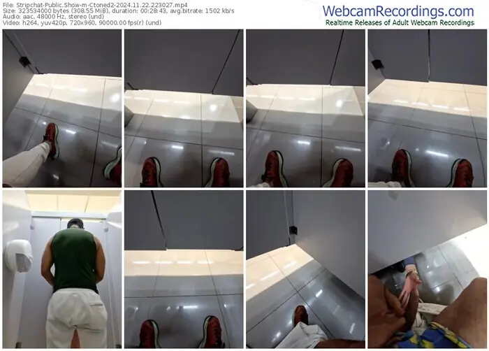 2024/11/22/stripchat-ctoned2-22-30-27