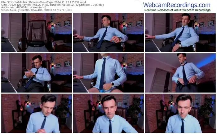 2024/11/22/stripchat-stevetiger-12-53-52