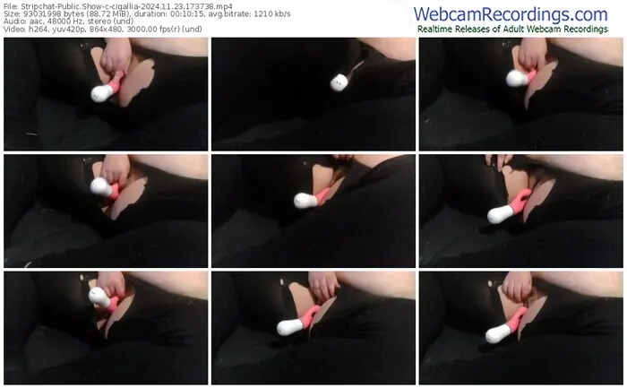 2024/11/23/stripchat-cigallia-17-37-38