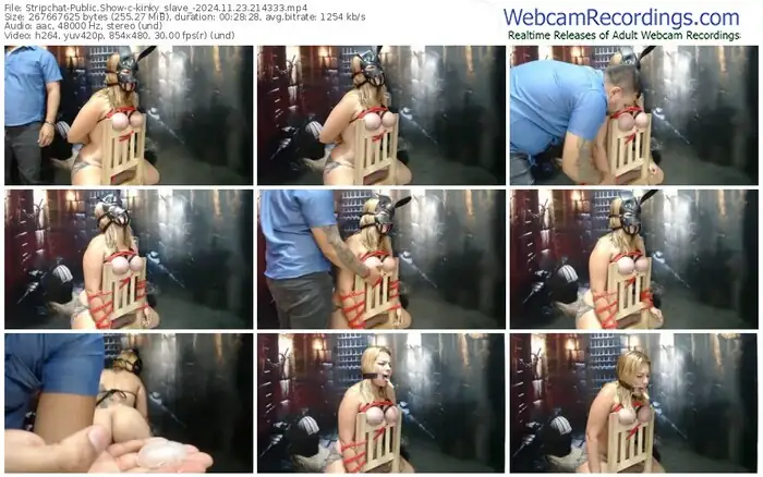 2024/11/23/stripchat-kinky_slave_-21-43-33