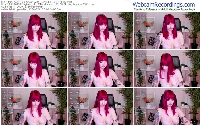 2024/11/23/stripchat-asa_u-13-33-07