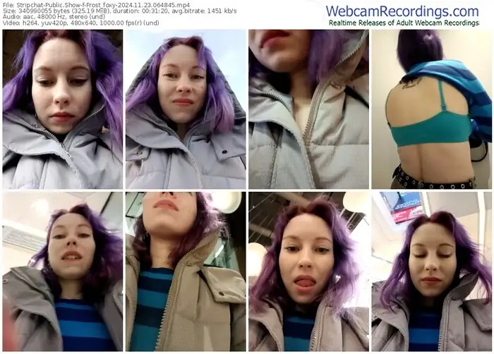 2024/11/23/stripchat-frost_foxy-06-48-45