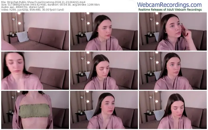2024/11/23/stripchat-lowoncoming-06-42-21