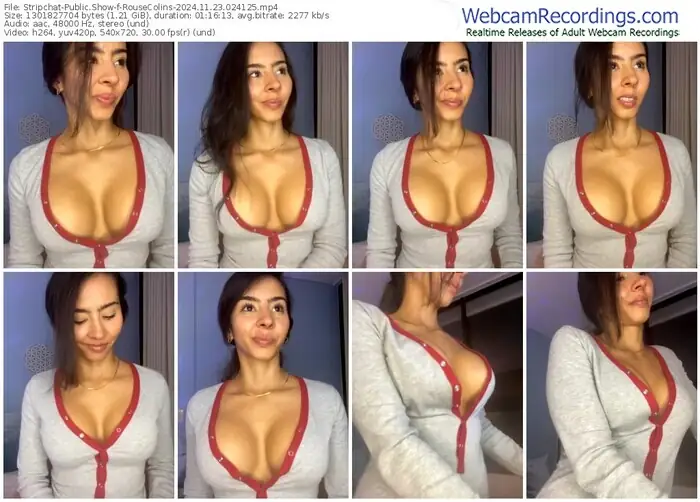 2024/11/23/stripchat-rousecolins-02-41-25