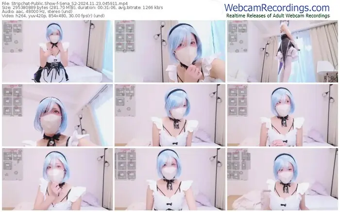 2024/11/23/stripchat-sena_s2-04-59-11